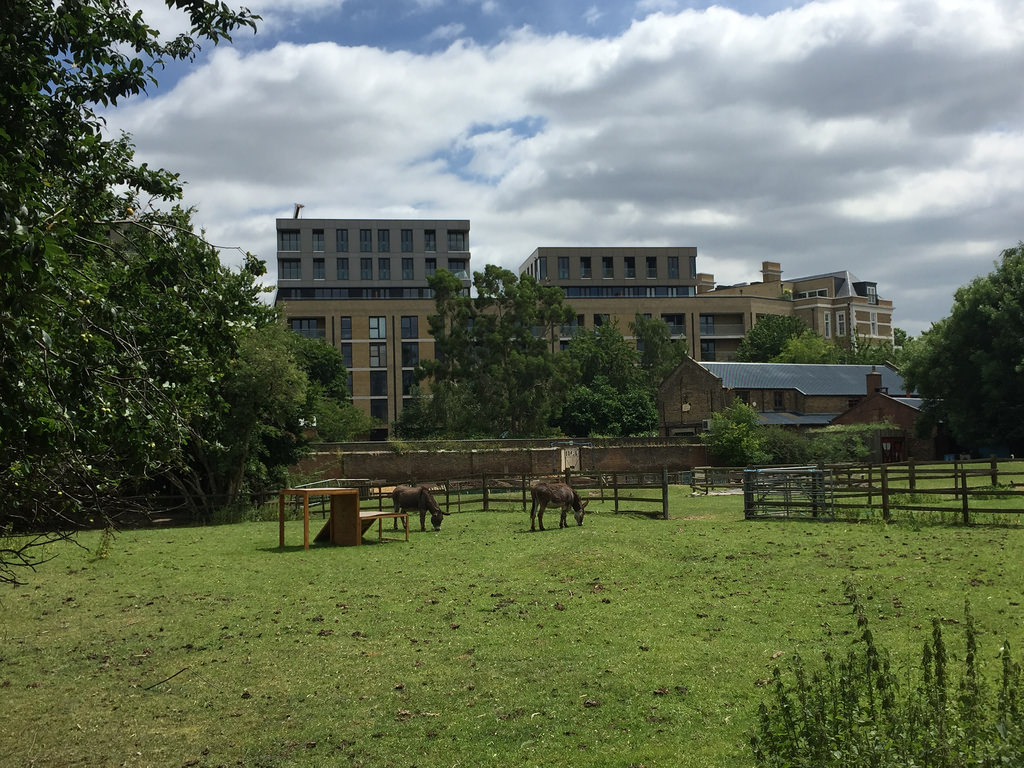 Hackney City Farm