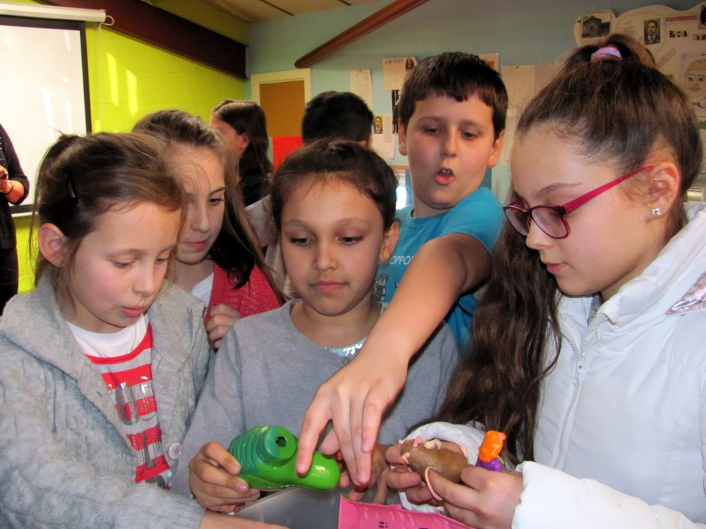 BG School 30.01.2016 (6)