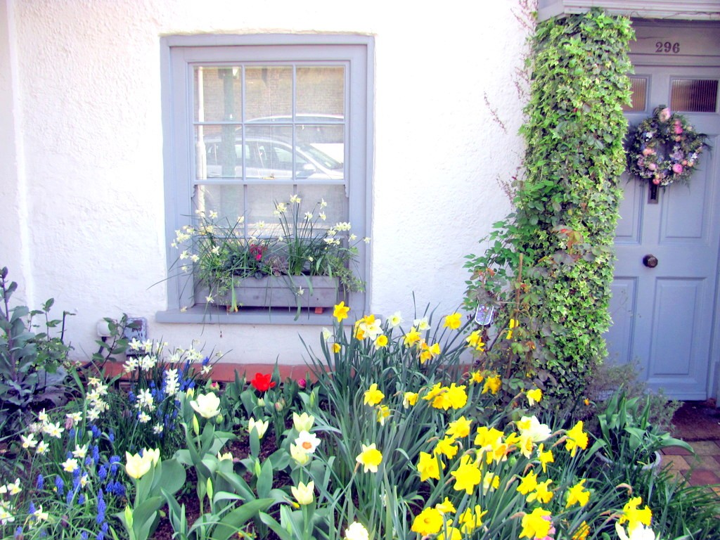 garden