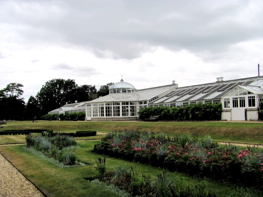 chiswick-4-9-2016-28