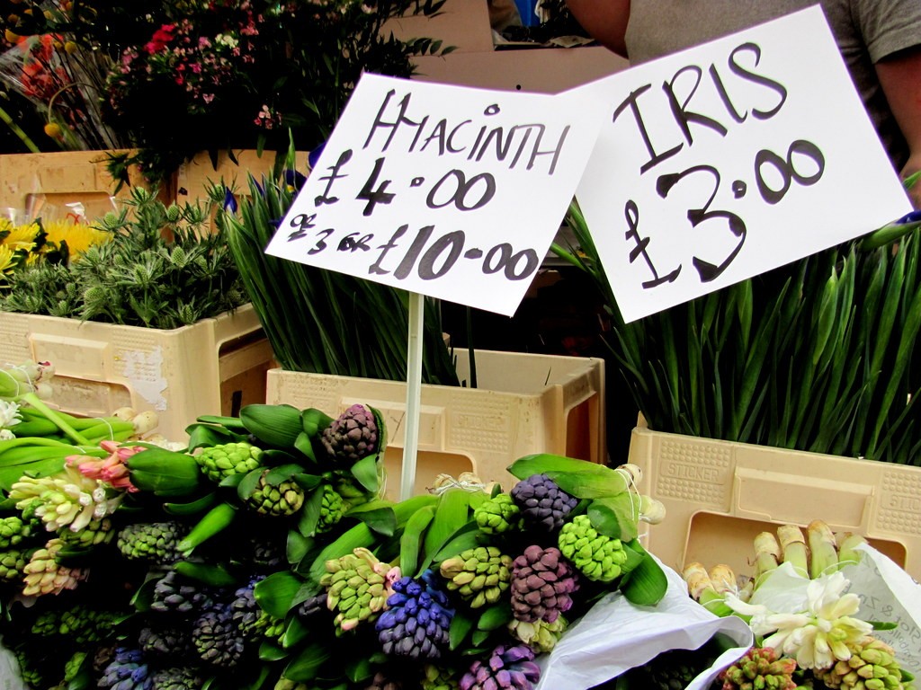 Columbia Road Flower Market (8)