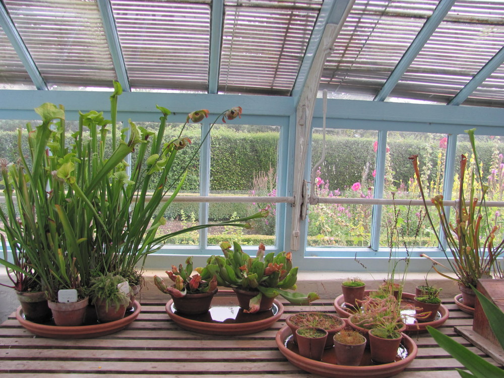Darwin House (14)