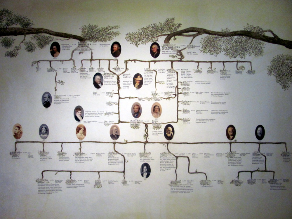 Darwin House (58)