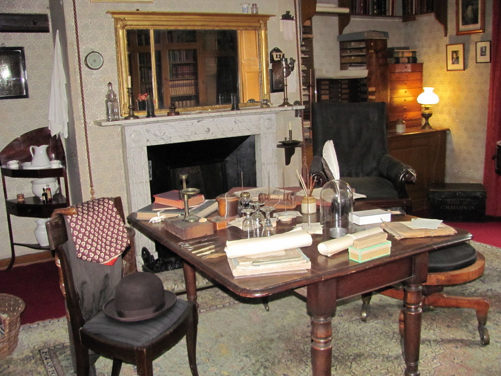 Darwin House (63)