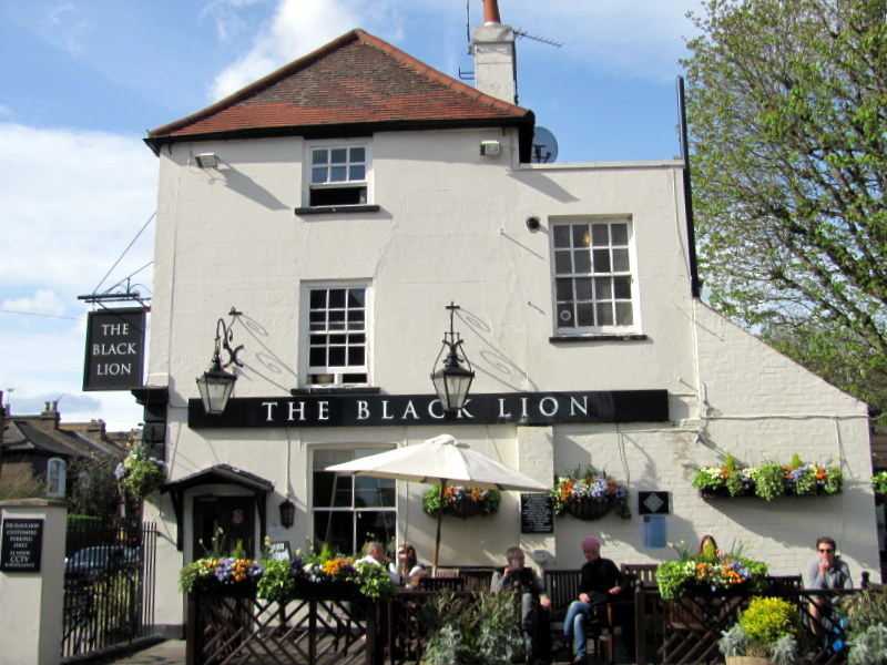 Black Lion