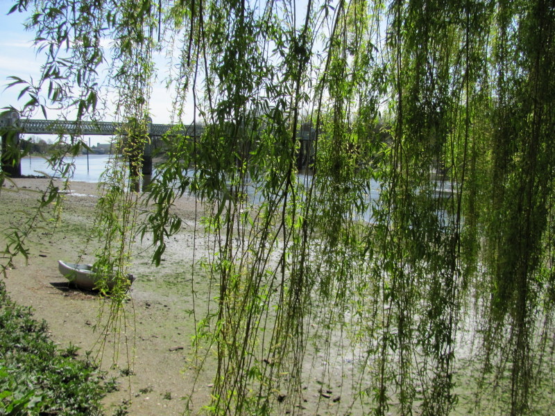 Hammersmith