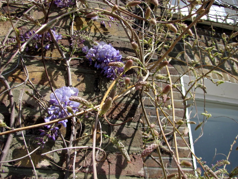 Chiswick