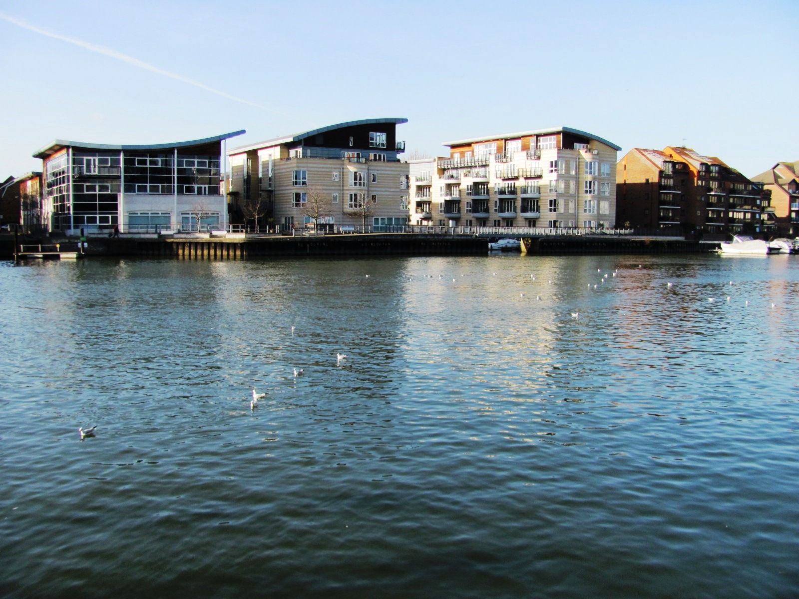 Hampton Court  (97)