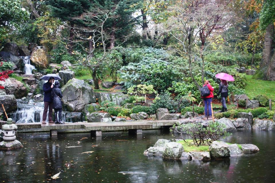 Holland Park 14.11.2015 (2)