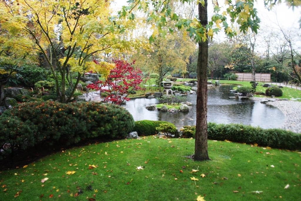 Holland Park 14.11.2015 (3)