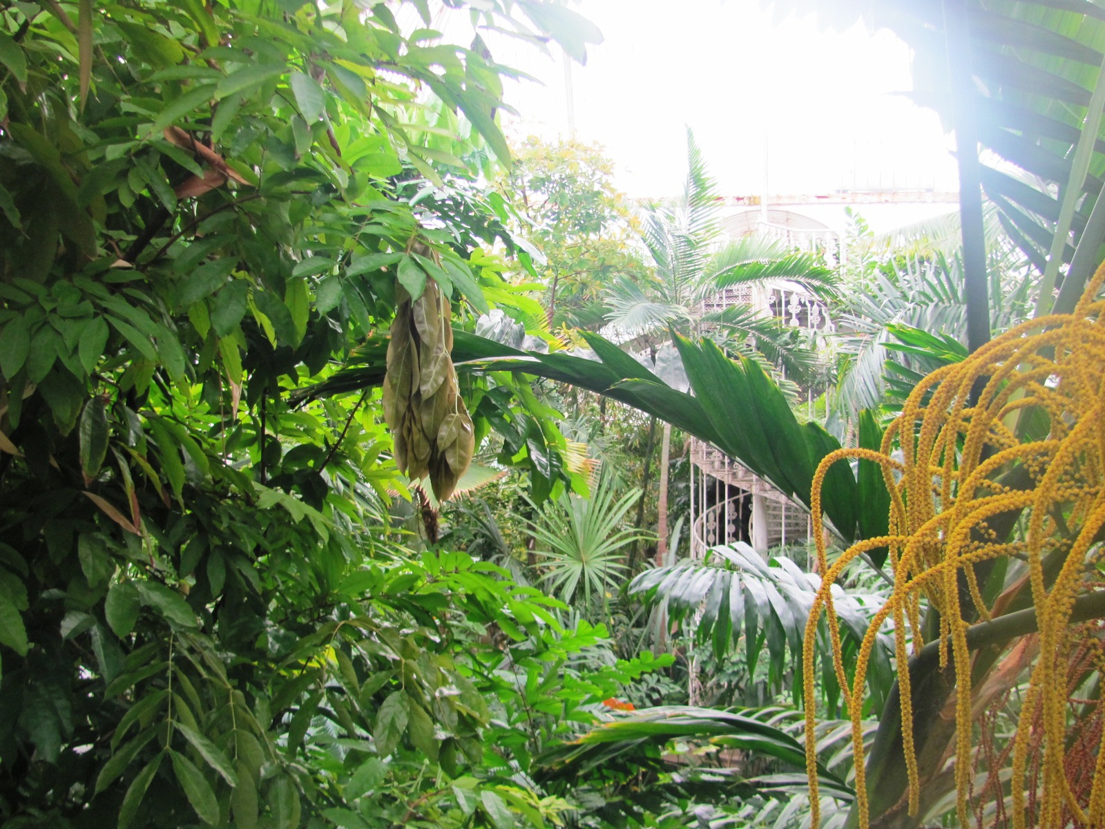 Kew Gardens