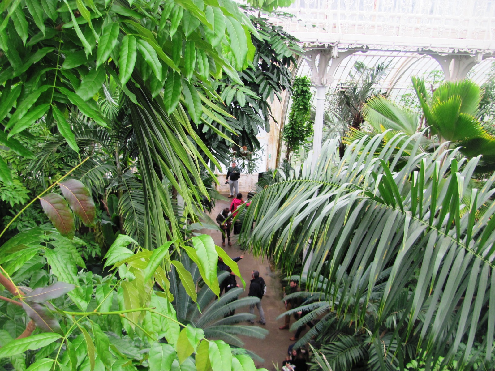 Kew Gardens