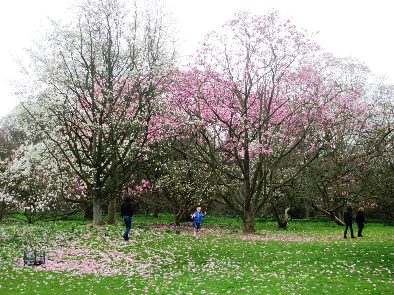 Kew Gardens