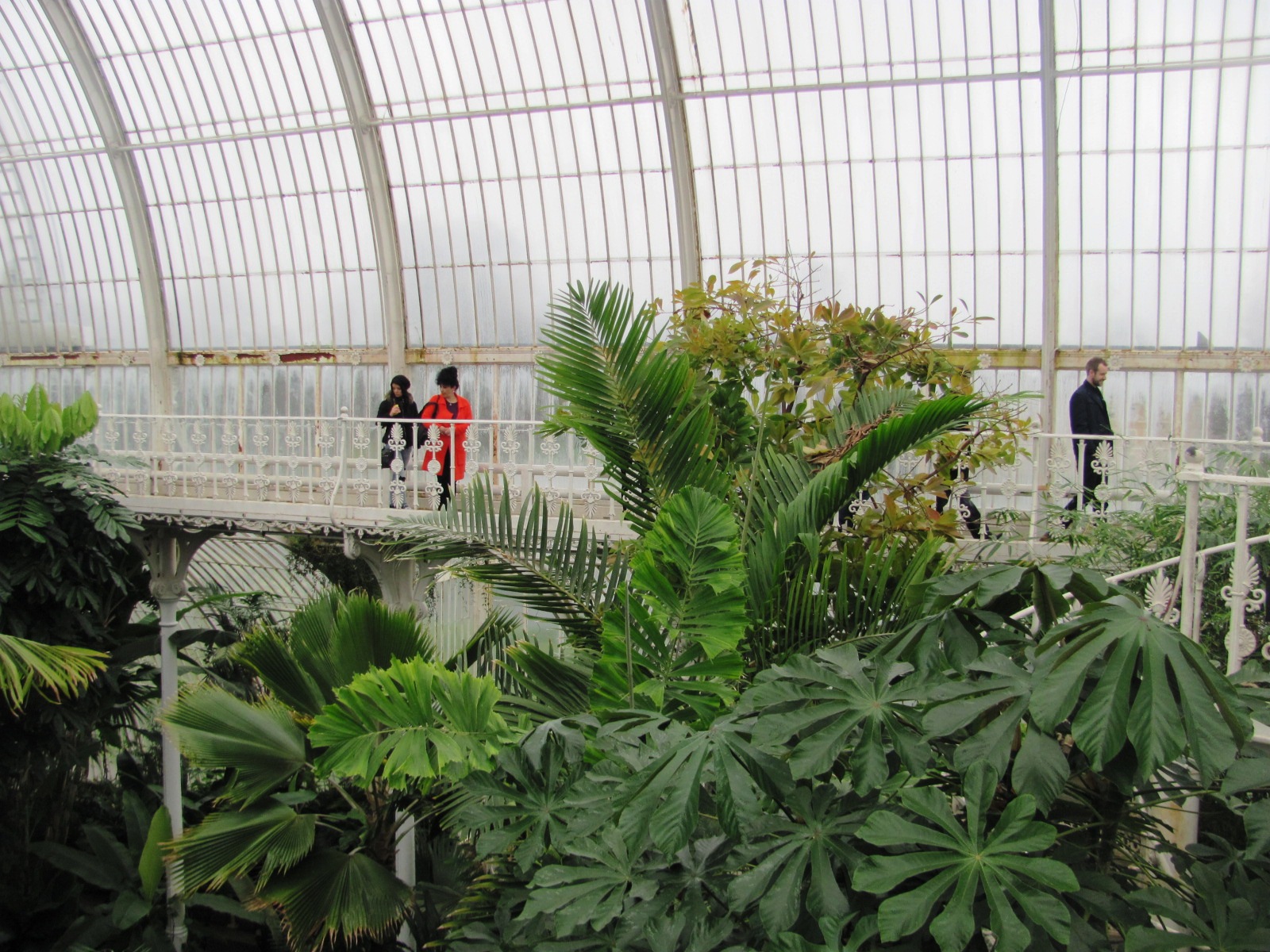 Kew Gardens