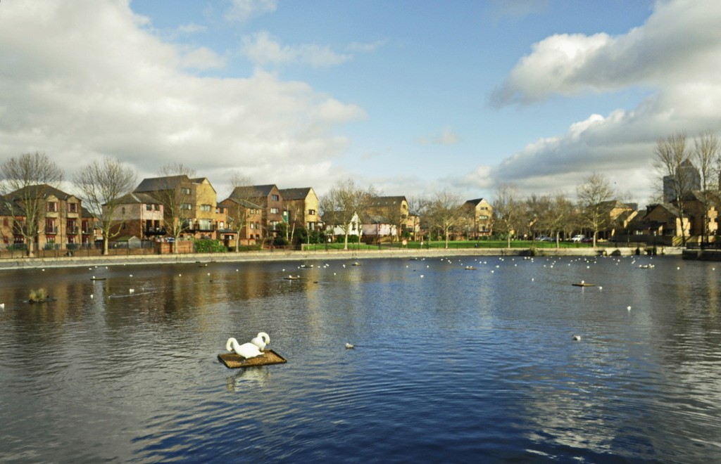 Rotherhithe-Vesko Vasilev (5)