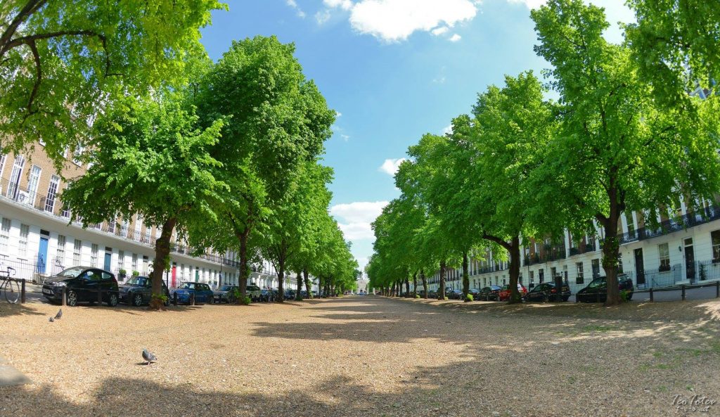 Royal Avenue Teo Totev
