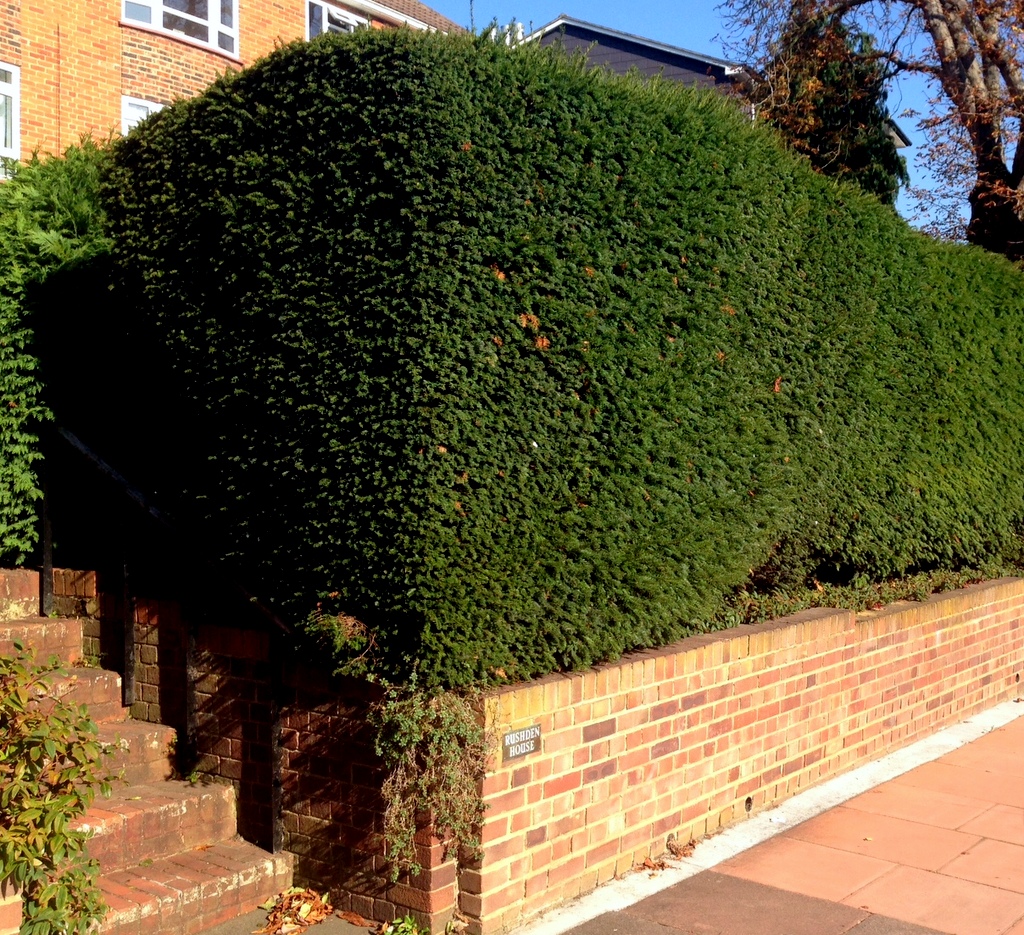 Rushden House