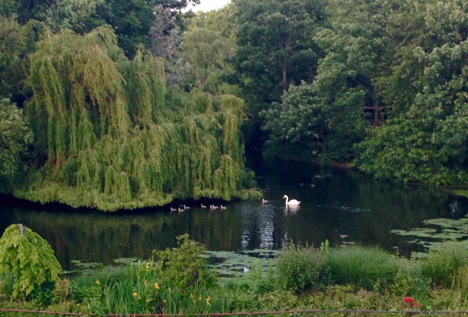 StJamesPark