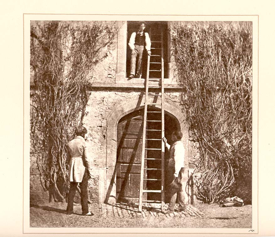 The_Ladder