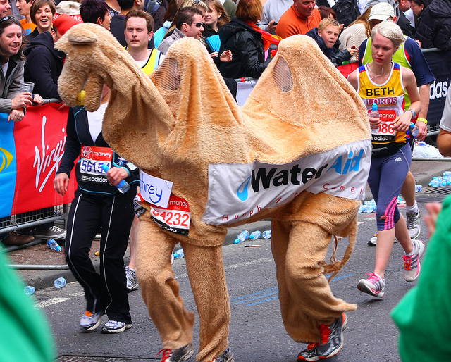 marathon