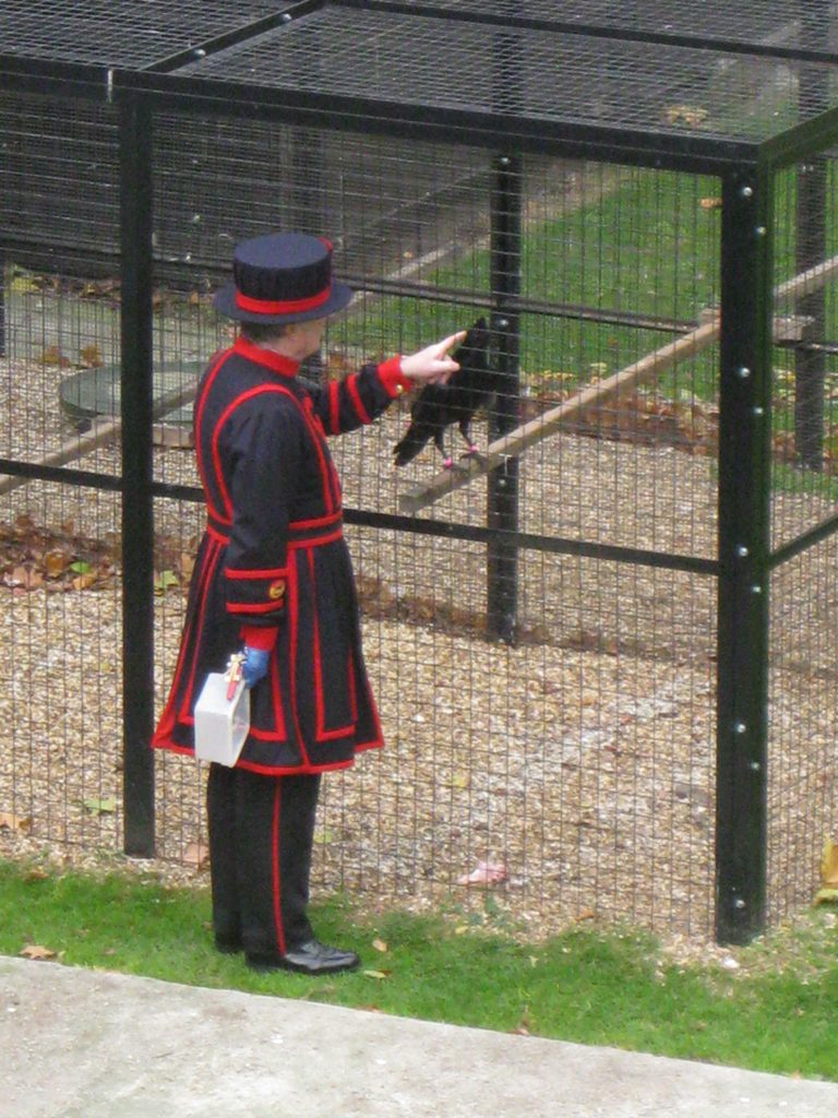 IMG_2185.JPG