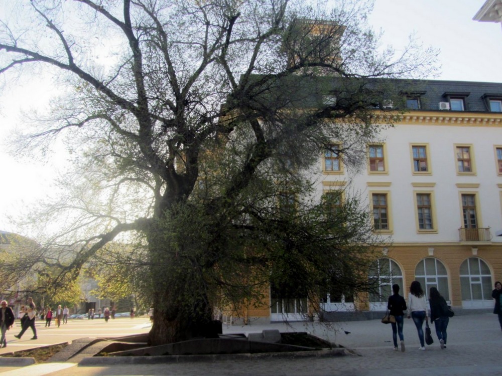 sliven (2)